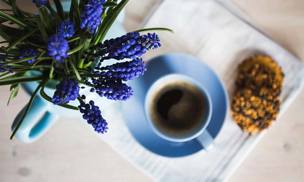 cookies and mug copy