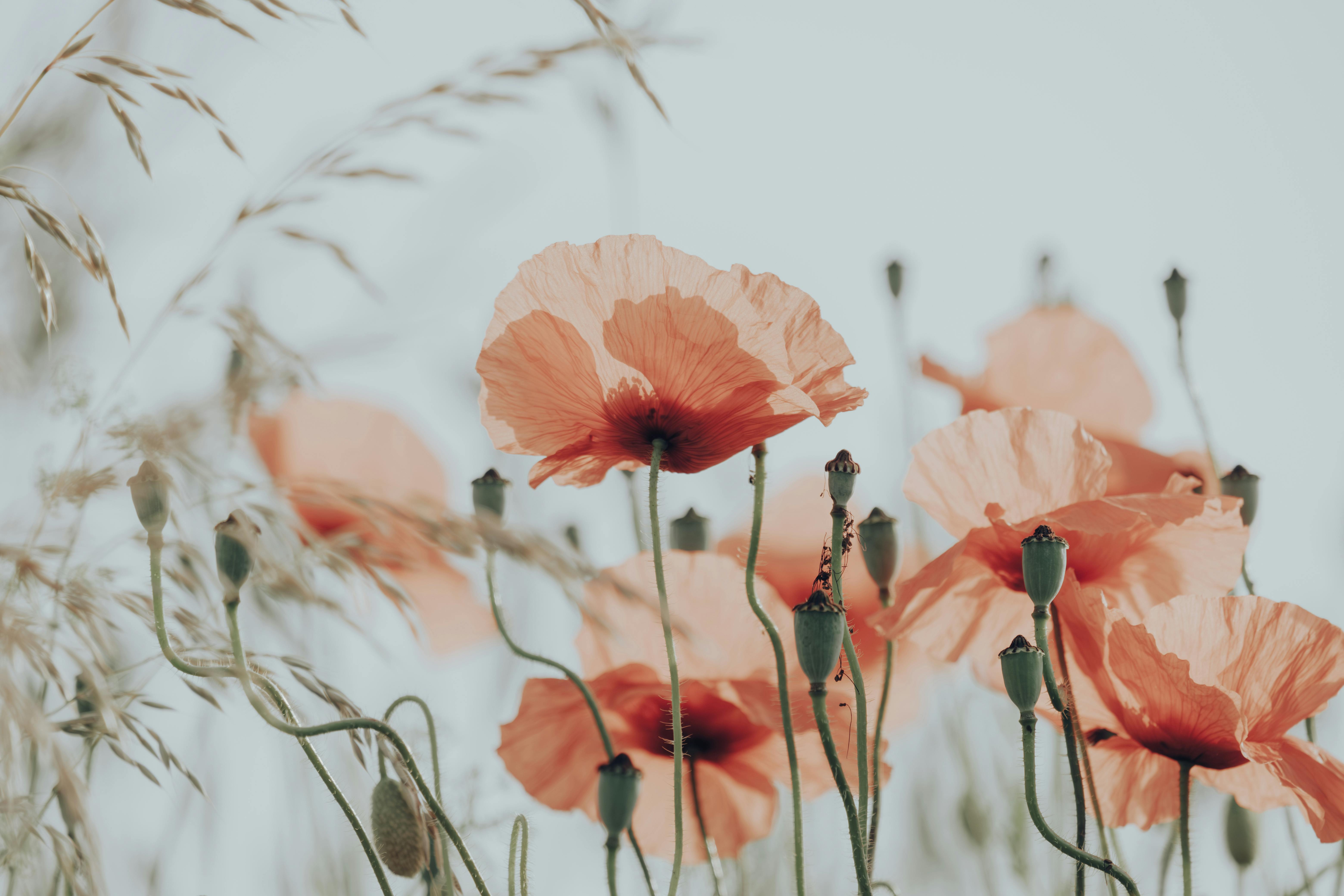 Julie Hughes Blog MARCH